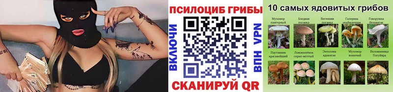 Галлюциногенные грибы GOLDEN TEACHER  Прохладный 